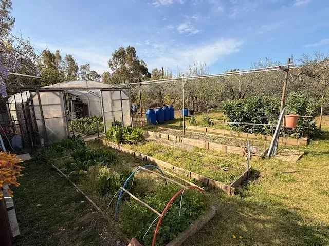 TERRENO CON ANNESSO A DUE KM DAL MARE