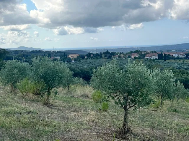 TERRENO AGRICOLO PANORAMICO