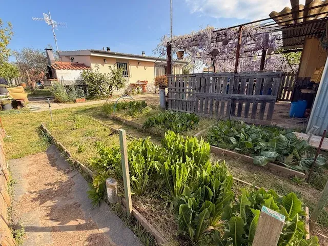TERRENO CON ANNESSO A DUE KM DAL MARE