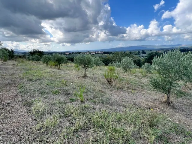 TERRENO AGRICOLO PANORAMICO