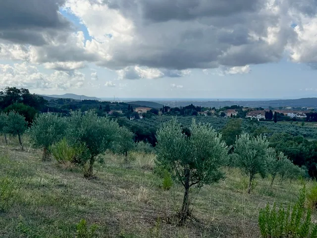 TERRENO AGRICOLO PANORAMICO