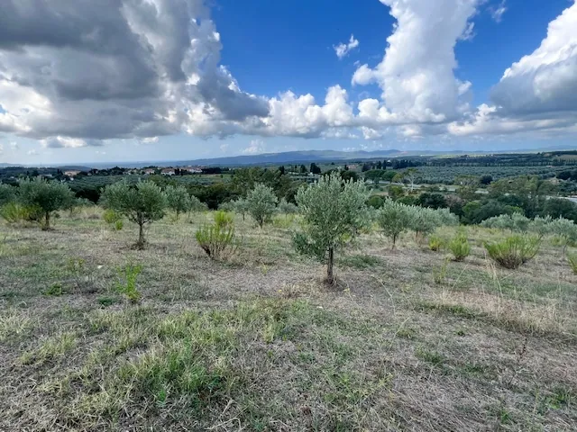 TERRENO AGRICOLO PANORAMICO